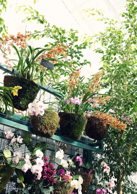 Ideas para decoración de terrazas pequeñas 7 jardin vertical para decorar terraza